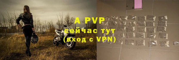 дживик Медвежьегорск