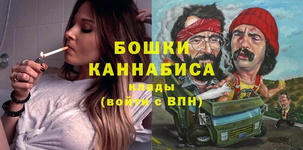 прущие грибы Березники