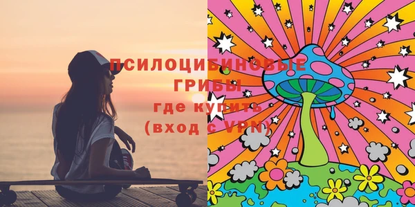 дживик Медвежьегорск