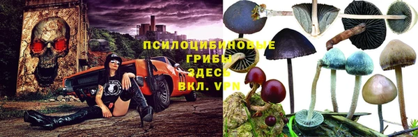 дживик Медвежьегорск