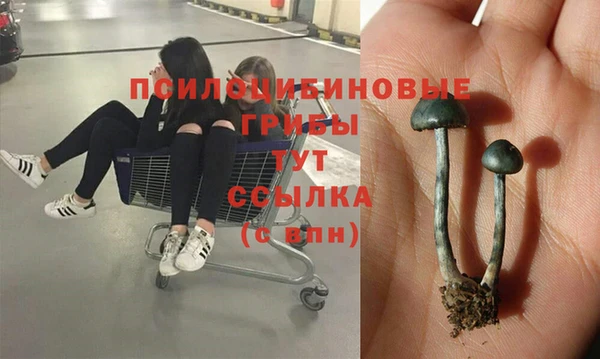 ALPHA-PVP Медногорск