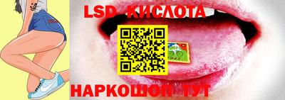 мдпв Донецк