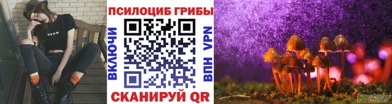 Псилоцибиновые грибы Cubensis Пушкино