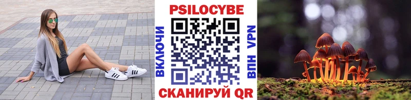 Галлюциногенные грибы ЛСД  мега ССЫЛКА  Пушкино 