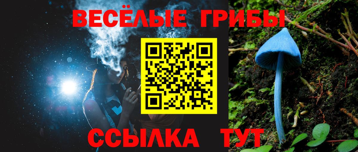 Галлюциногенные грибы Psilocybine cubensis Пушкино